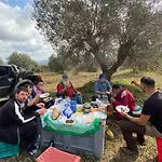 La Conserva Farm stay