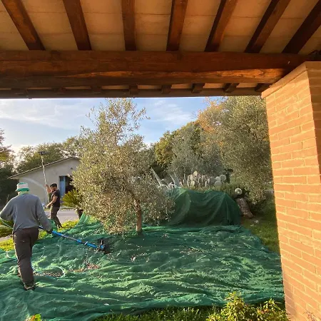 La Conserva Vakantieboerderij *