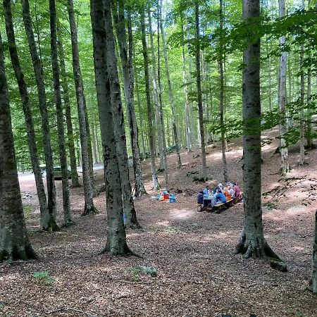 Vakantieboerderij La Conserva Rocchette di Fazio