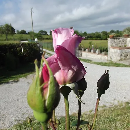 Vakantieboerderij La Conserva Rocchette di Fazio